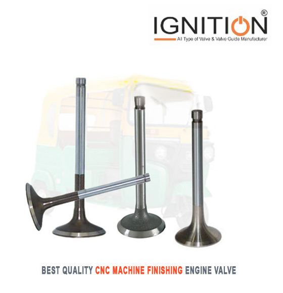 CNG Auto Rikshaw Engine Valve Manufacturers - Three Wheeler