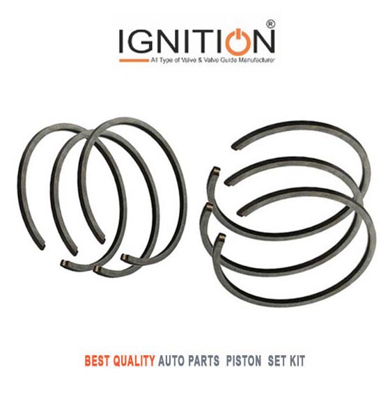 CI Piston Ring Manufacturers