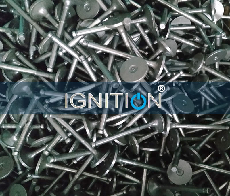 Ignition Brand Engine Valve Manufacturers